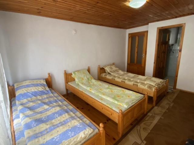 Tsvetkovi Guest House Dobrinishte Luaran gambar
